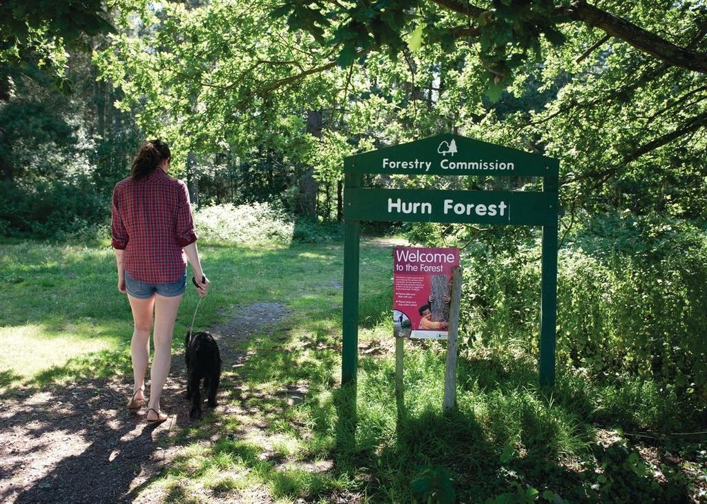 Oakdene Forest Hotel Фърндаун Екстериор снимка