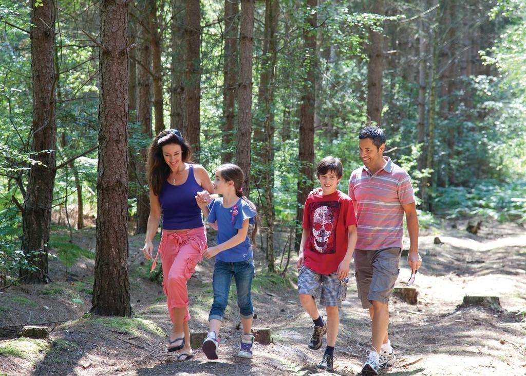 Oakdene Forest Hotel Фърндаун Екстериор снимка